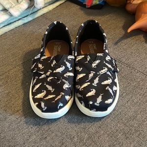 Shark TOMS